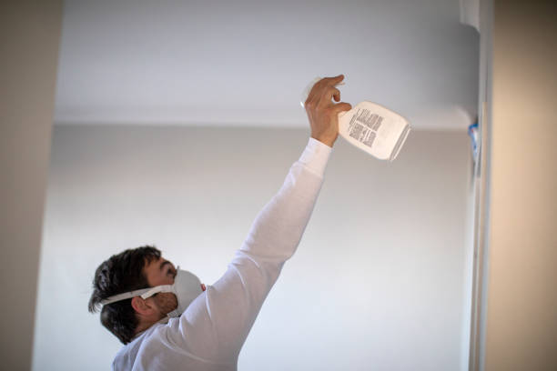 Best DIY Mold Remediation Support Services in Bayou Lourse, LA